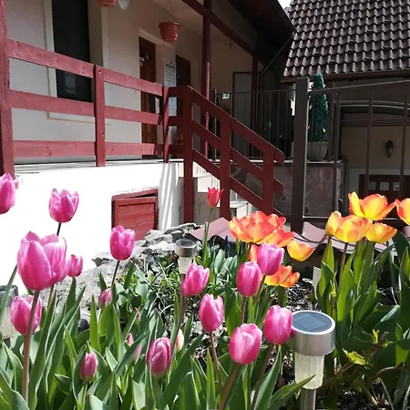 招待所 斯卡尔纳玫瑰旅馆 - 科维罗萨酒店 *