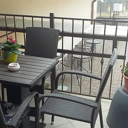 Skalna Ruza - Koevirozsa Panzio *