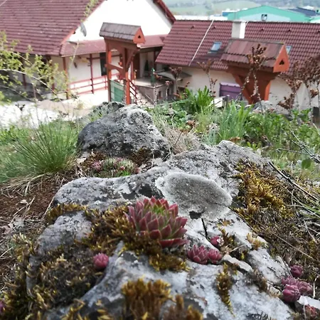 ゲストハウス Skalna Ruza - Koevirozsa Panzio