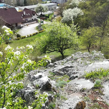 Skalna Ruza - Koevirozsa Panzio