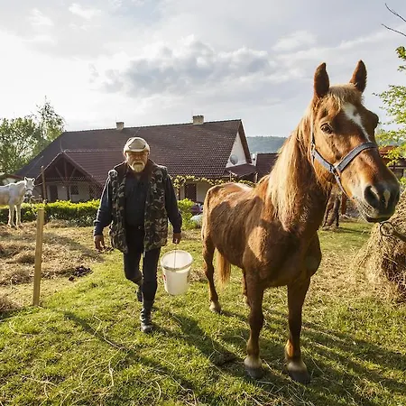 ゲストハウス Skalna Ruza - Koevirozsa Panzio *