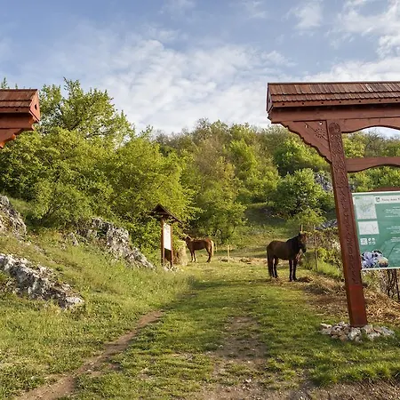 Gasthof Skalna Ruza - Koevirozsa Panzio Gemerská Horka