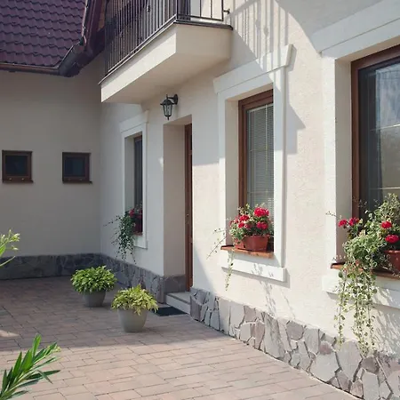 Skalna Ruza - Koevirozsa Panzio *