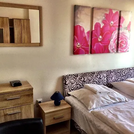 Gasthuis Skalna Ruza - Koevirozsa Panzio