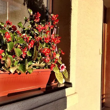 Skalna Ruza - Koevirozsa Panzio Gemerská Horka