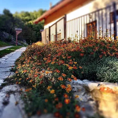 ゲストハウス Skalna Ruza - Koevirozsa Panzio